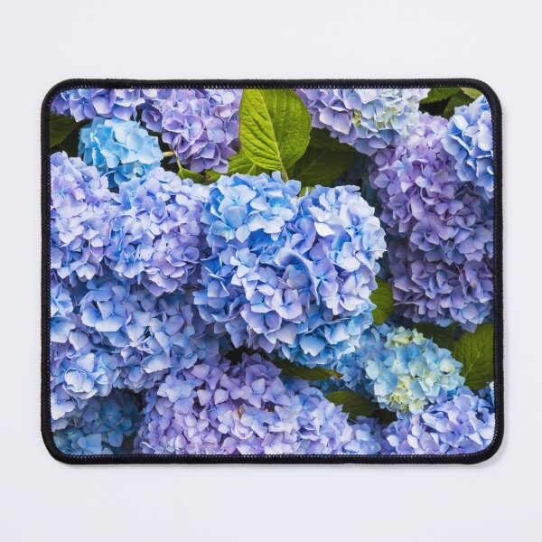 Item preview, Beautiful Purple Hydrangea Flower Blossoms designed and sold by newburyboutique.