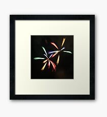 Twins Framed Print