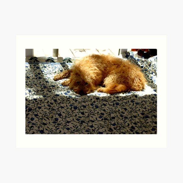 Bed Of Flowers Art Print