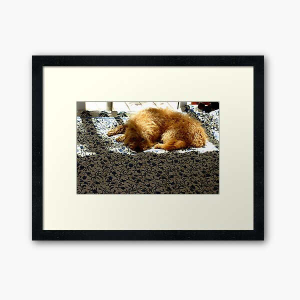 Bed Of Flowers Framed Art Print