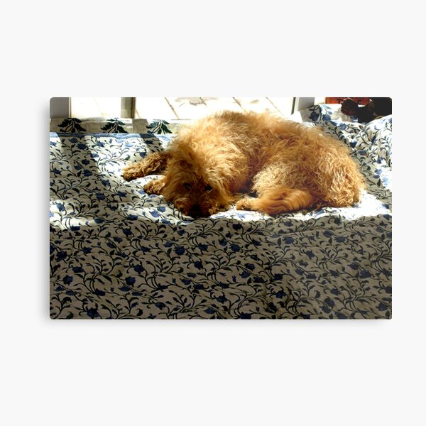 Bed Of Flowers Metal Print