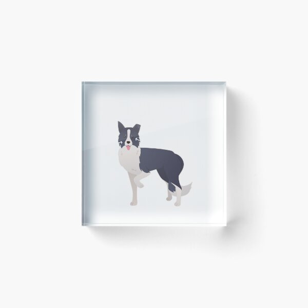 Item preview, Border Collie Dog Anatomy designed and sold by Clara Hollins.