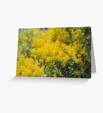 Wattle Flowers Greeting Card