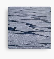 February Metal Print