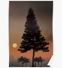 Forces Poster
