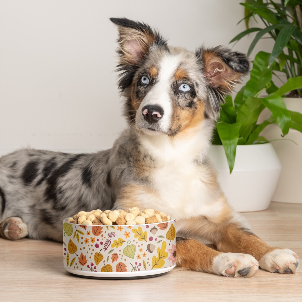 Autumn Floral, Light Pet Bowl