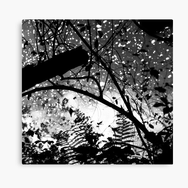 wye pattern Canvas Print