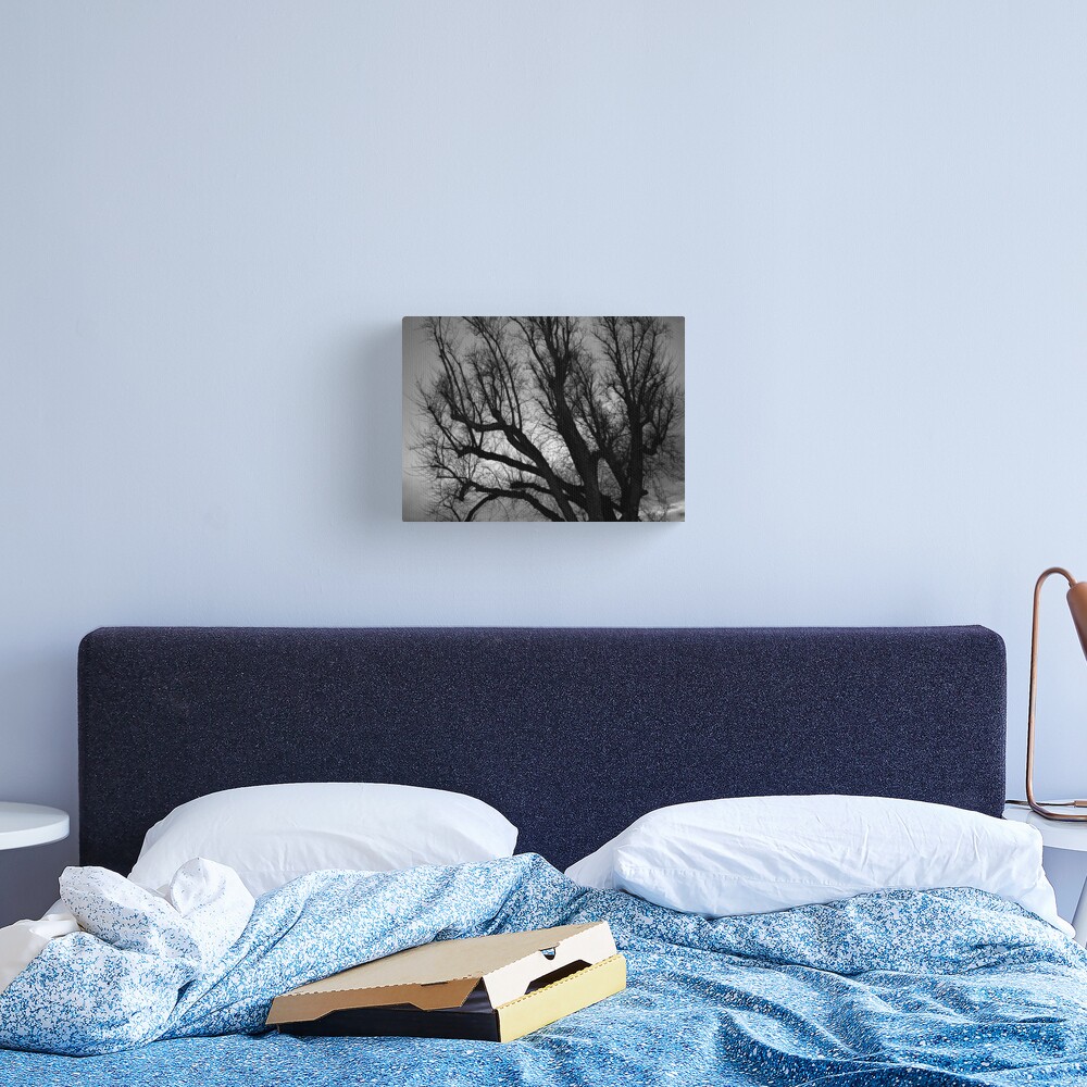 Skeleton Sky Canvas Print