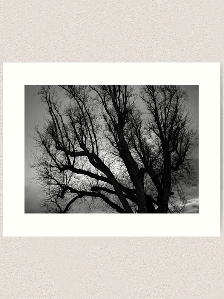 Alternate view of Skeleton Sky Art Print