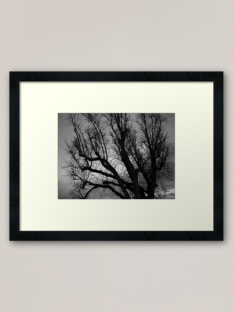 Alternate view of Skeleton Sky Framed Art Print