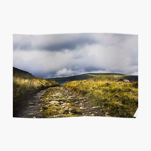 mountain Path Poster