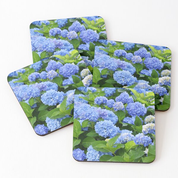 Item preview, Beautiful Purple & Blue Nantucket Hydrangeas Blooming  designed and sold by newburyboutique.