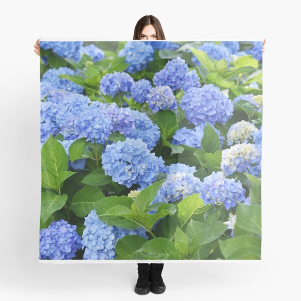 Item preview, Beautiful Purple & Blue Nantucket Hydrangeas Blooming  designed and sold by newburyboutique.