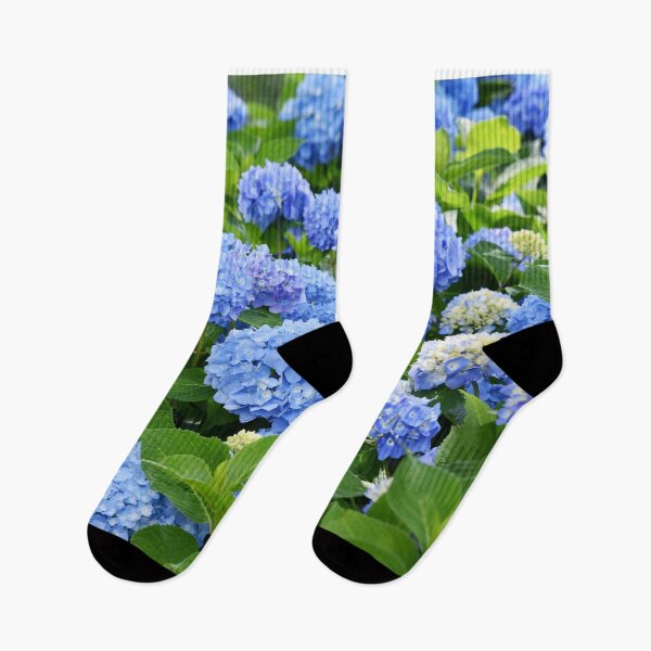 Item preview, Beautiful Purple & Blue Nantucket Hydrangeas Blooming  designed and sold by newburyboutique.