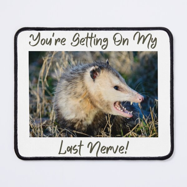 Item preview, You're Getting On My Last Nerve! designed and sold by LifeLongTees ..