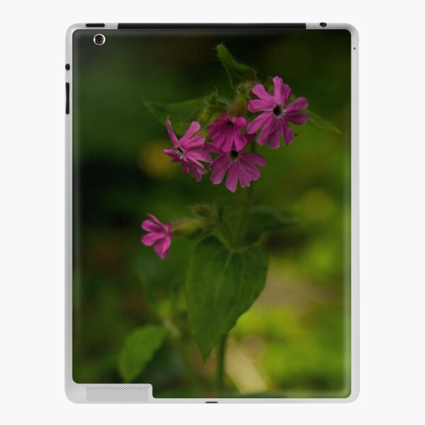 Pink Campion in Prehen Woods, Derry iPad Skin