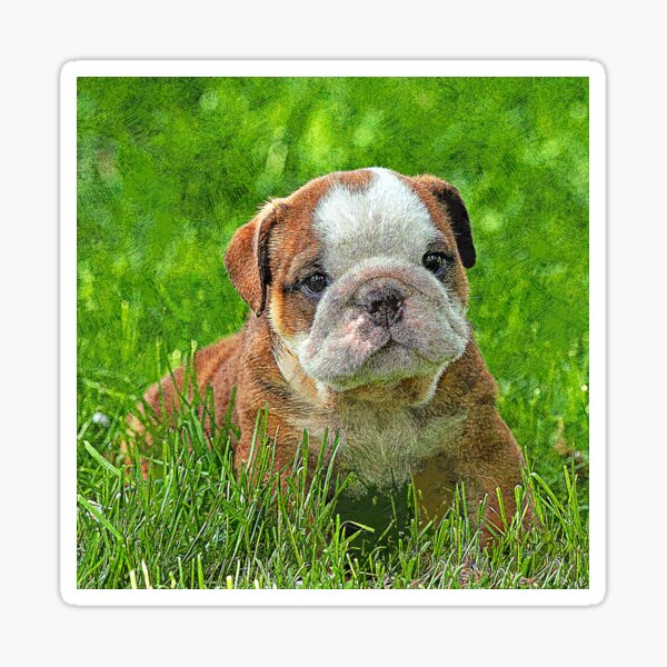 Puppy English Bulldog in the Meadow - Custom Pet Portrait Art Studio Sticker