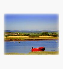 A Splash of Red Photographic Print