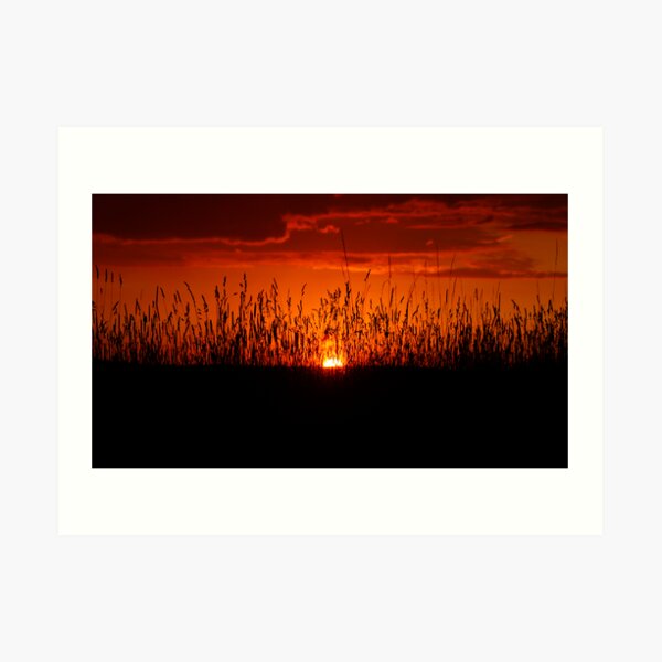 Sunset Art Print
