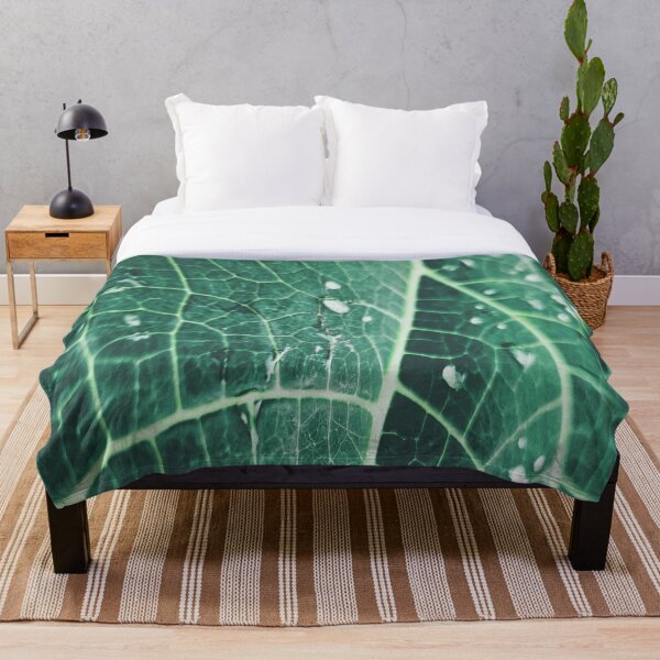 Item preview, Hoja verde después de la lluvia designed and sold by CharlesArtist.