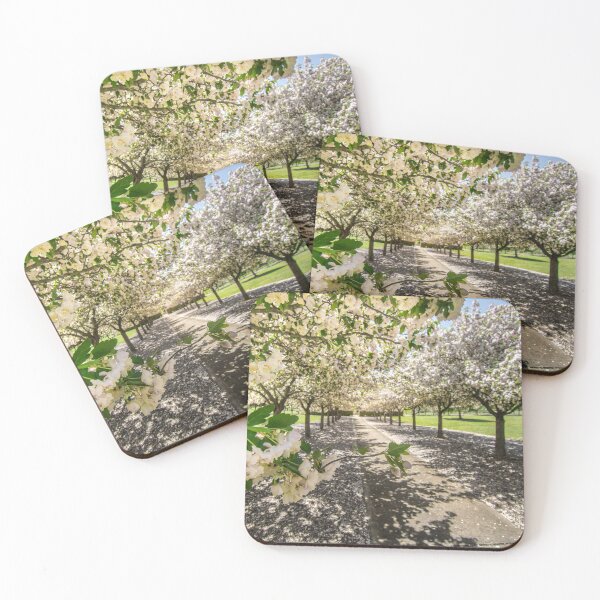 Item preview, MillBrook Park Tenterfield designed and sold by sprayzz123.