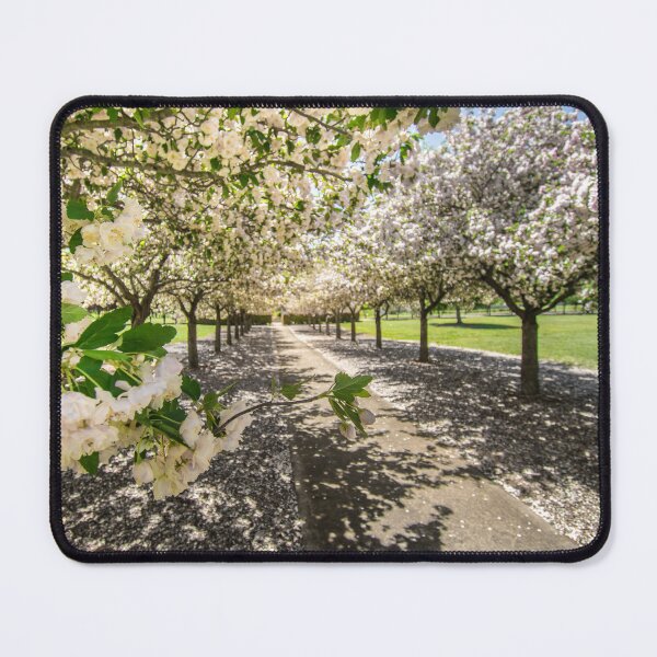 Item preview, MillBrook Park Tenterfield designed and sold by sprayzz123.