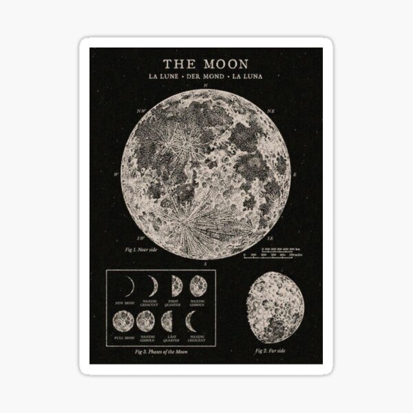 Moon Phases Vintage Poster Poster