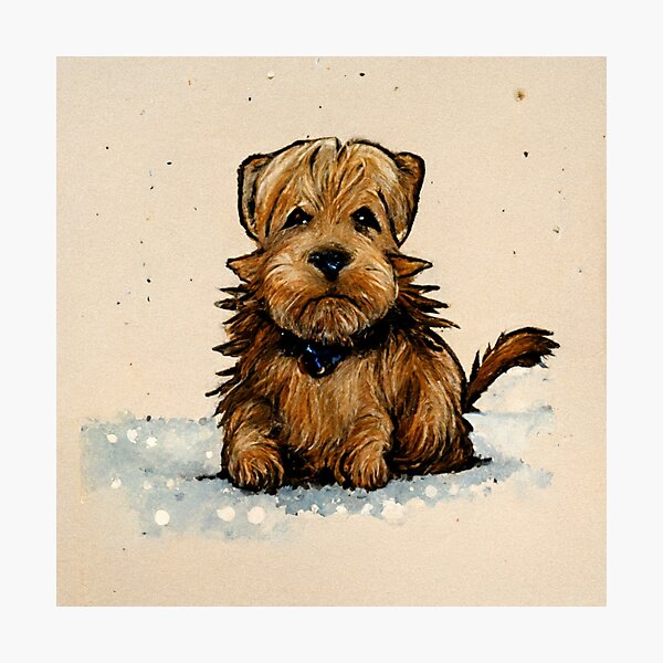 Lámina Fotográfica Norfolk Terrier Perro Estilo De Dibujos Animados De