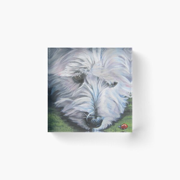 West Highland Terrier Fine Art Painting Acrylic Block