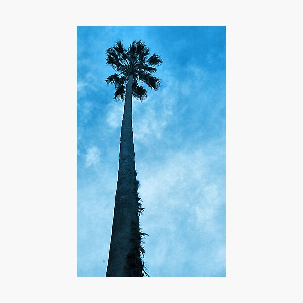 Item preview, Reaching Upwards designed and sold by daverach1.