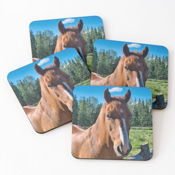 Item preview, Got Any Snacks designed and sold by mahnkephotos.