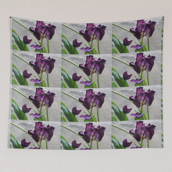 Item preview, Purple tulip in abscission (dropping petals) designed and sold by DigitalEurydice.