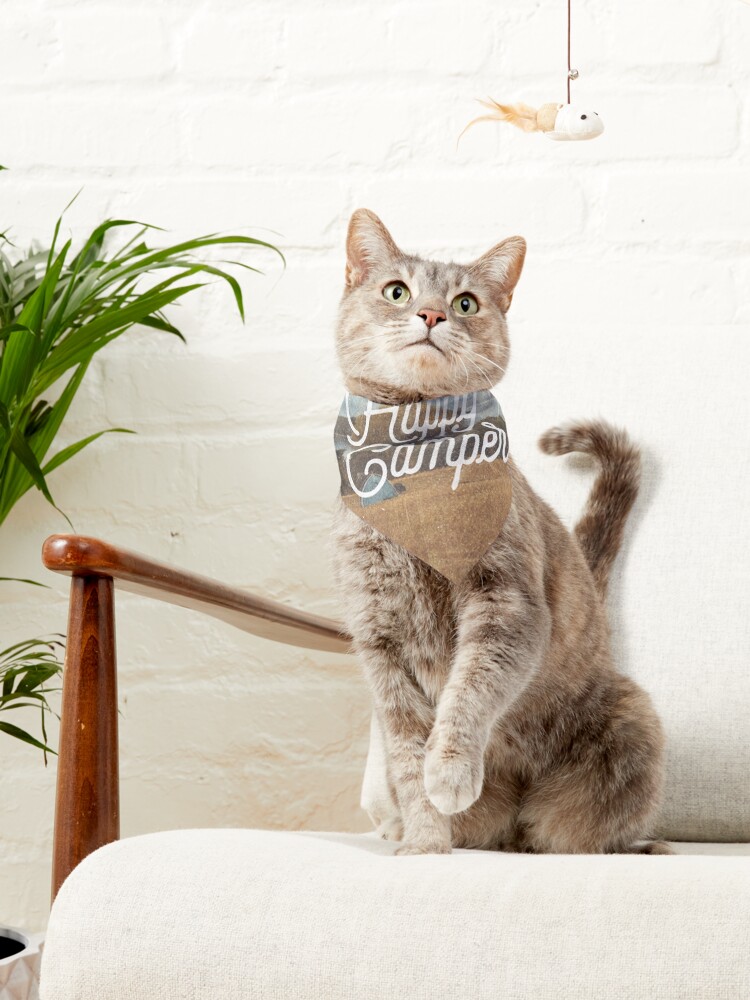 Alternate view of HAPPY CAMPER Pet Bandana
