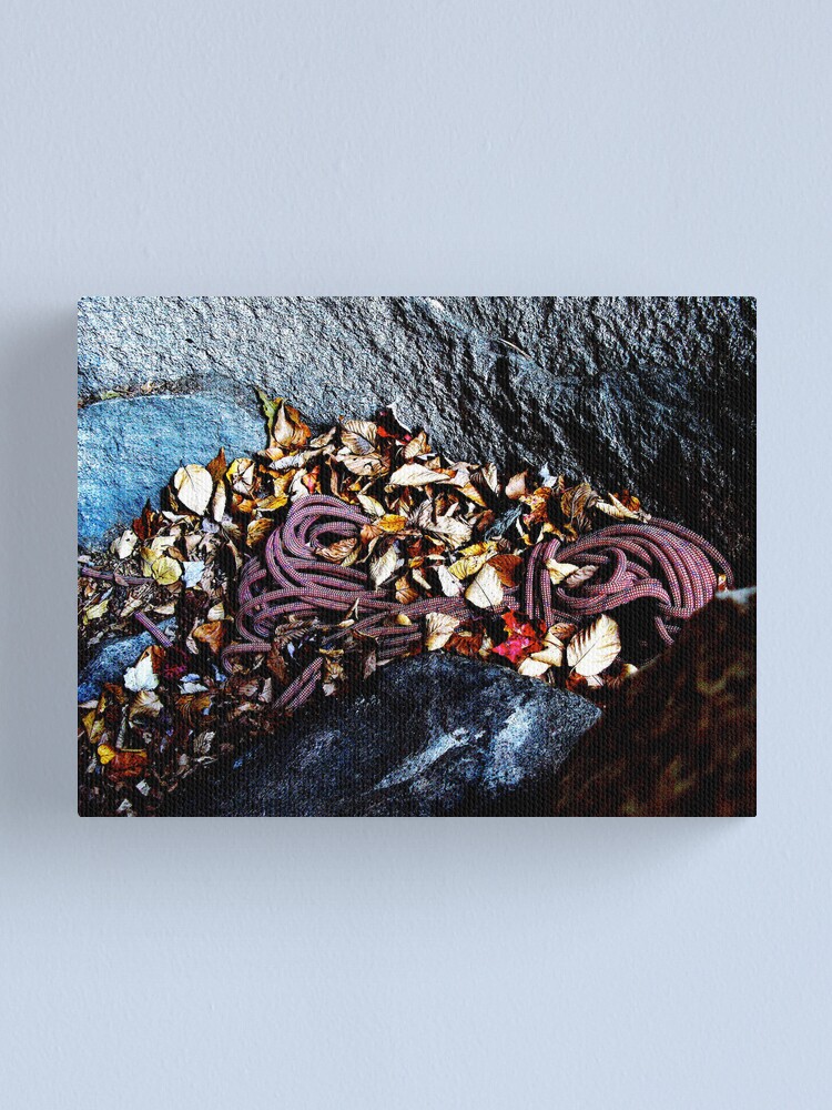 Thumbnail 1 of 3, Canvas Print, Rope A Cave Floor designed and sold by alvinsan9.