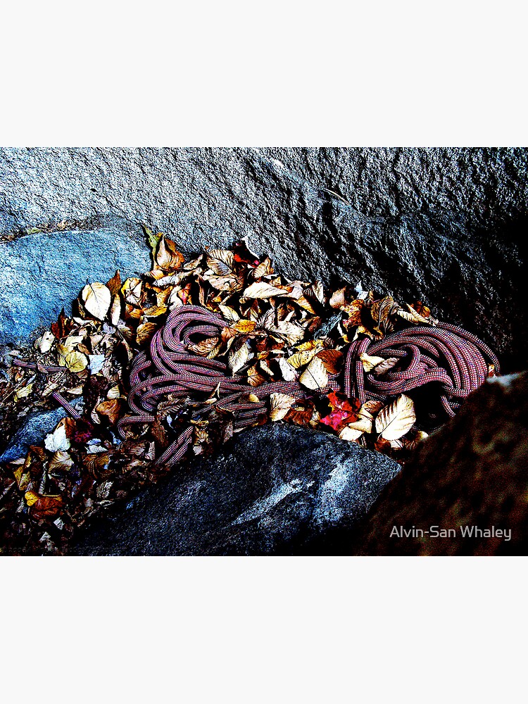 Thumbnail 3 of 3, Canvas Print, Rope A Cave Floor designed and sold by alvinsan9.