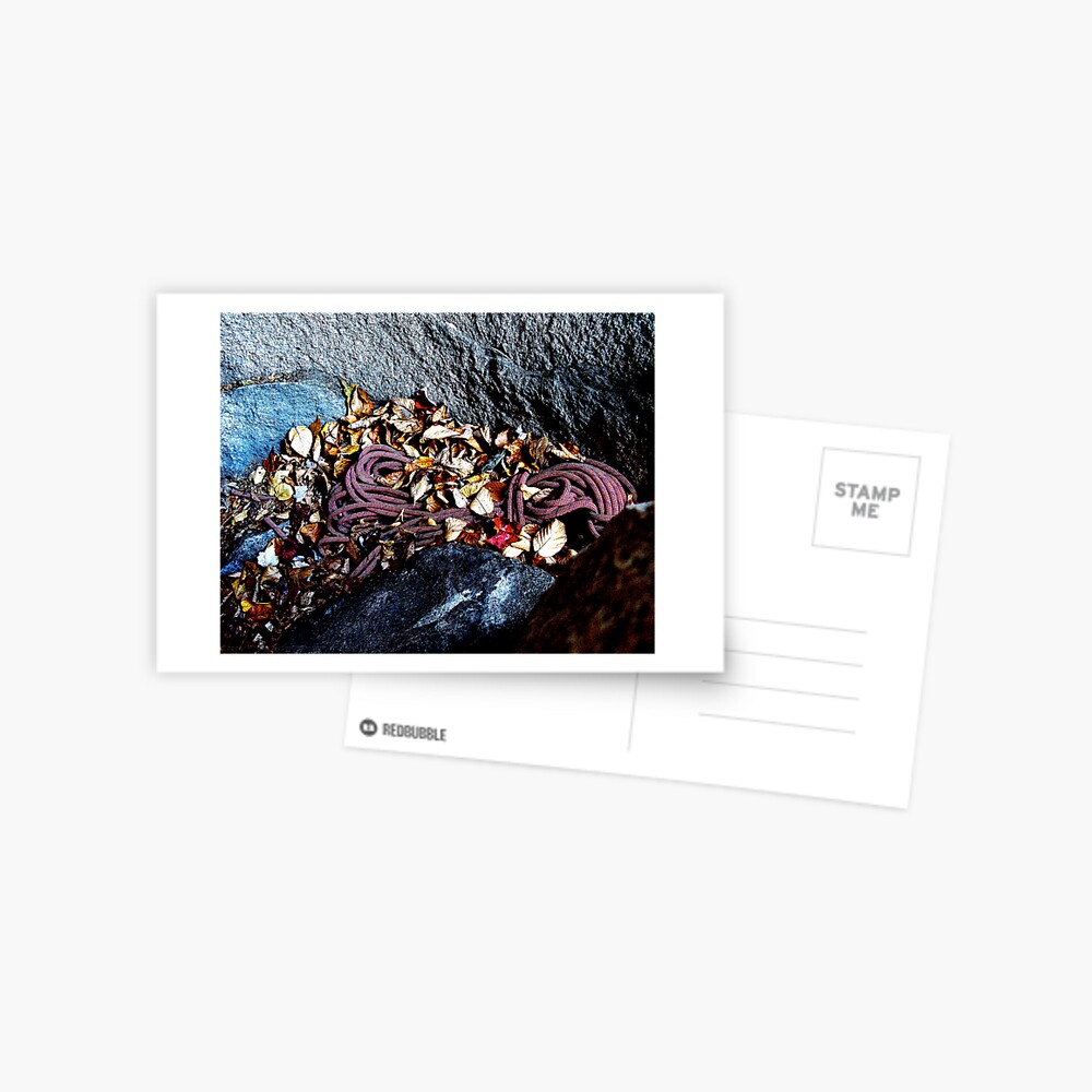 Item preview, Postcard designed and sold by alvinsan9.