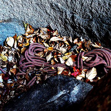 Artwork thumbnail, Rope A Cave Floor by Alvin C Whaley