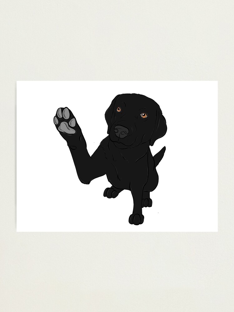 forklare data gerningsmanden Give me Paw - - Black Lab " Photographic Print by rmcbuckeye | Redbubble