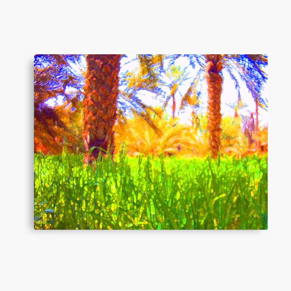 Oasis Canvas Print