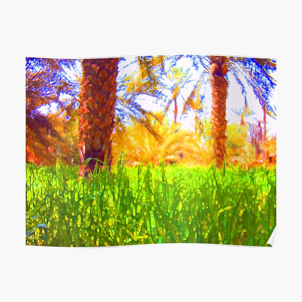 Oasis Poster