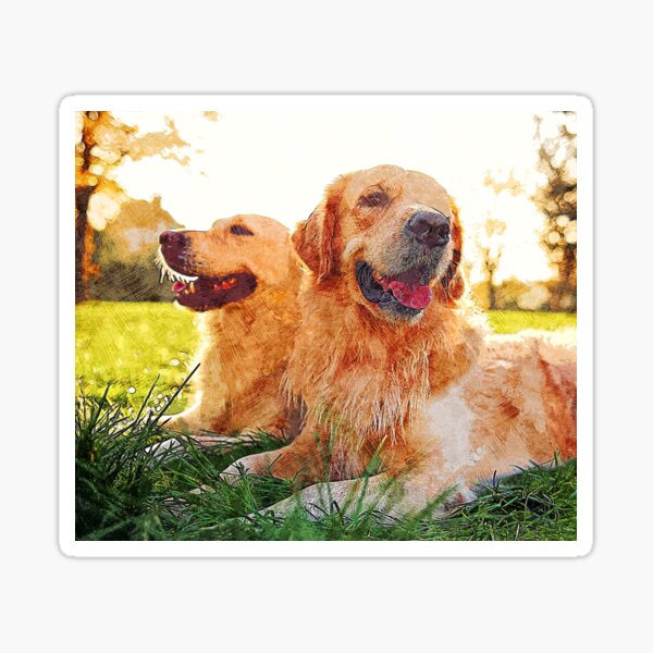 Two Beautiful Golden Retriever dogs - Custom Pet Portrait Art Studio Sticker