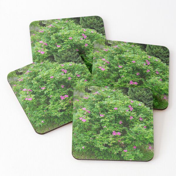 Item preview, Rosa Rugosa trends designed and sold by charlenterafitz.