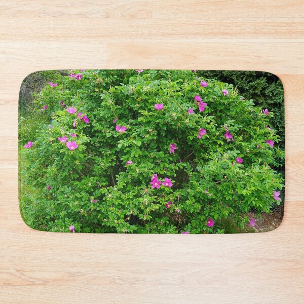 Item preview, Rosa Rugosa trends designed and sold by charlenterafitz.