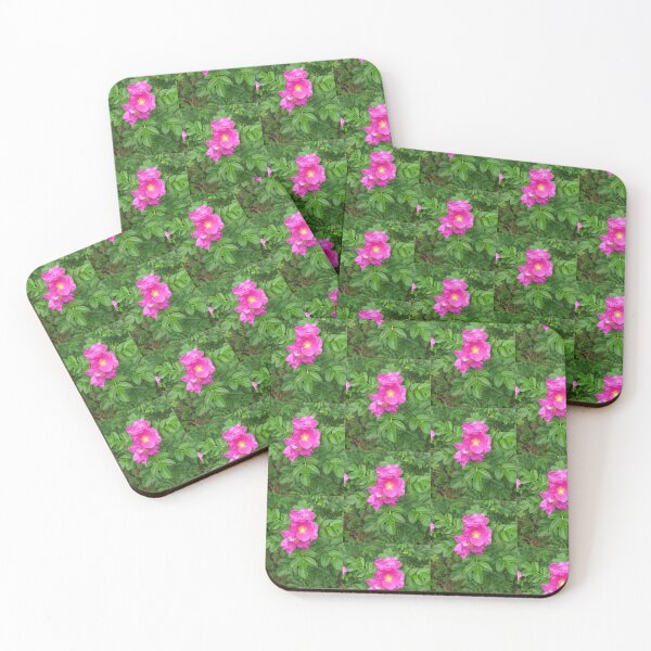 Item preview, Rosa Rugosa designed and sold by jenniferidern60.