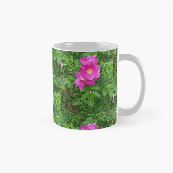 Item preview, Rosa Rugosa designed and sold by jenniferidern60.