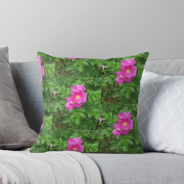 Item preview, Rosa Rugosa designed and sold by jenniferidern60.