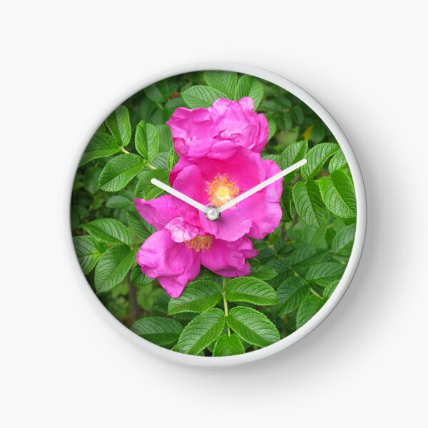Item preview, Rosa Rugosa designed and sold by jenniferidern60.