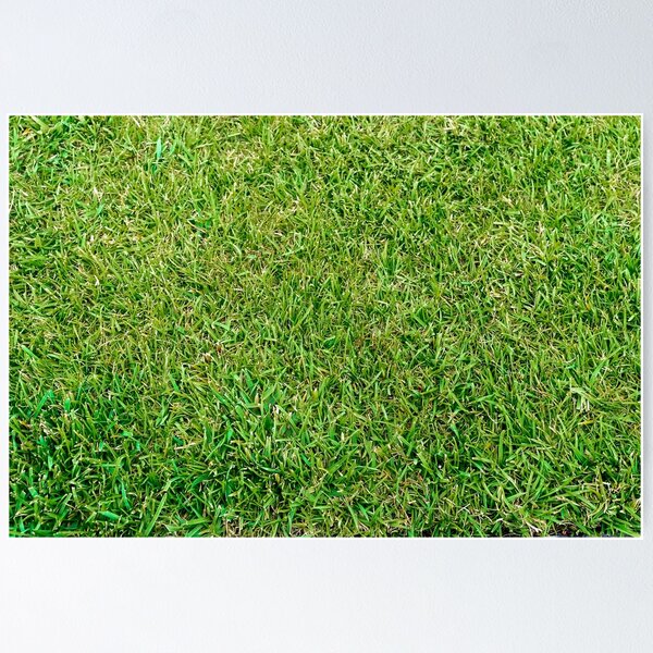 Item preview, Grass sport field designed and sold by yanzappa.