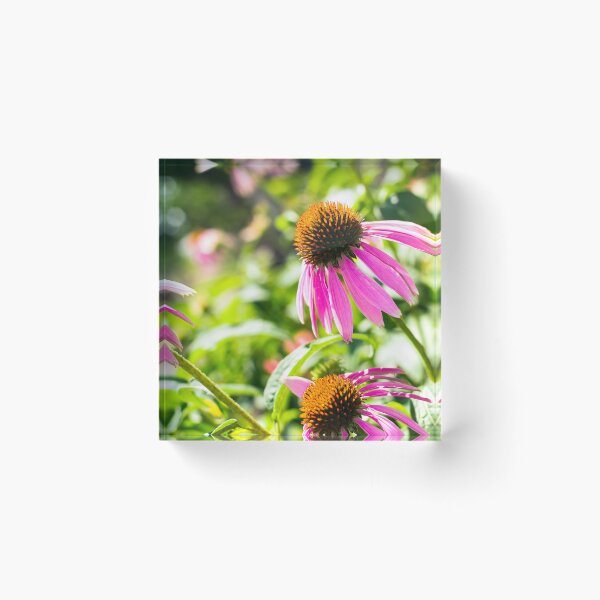 Item preview, Echinacea designed and sold by yanzappa.