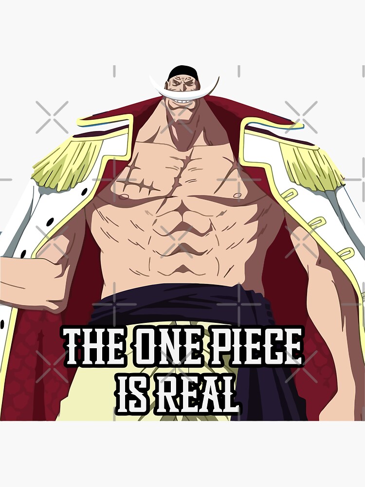 The One Piece Is Real